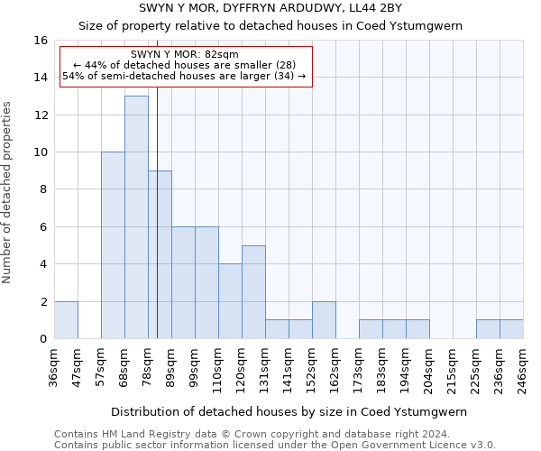 SWYN Y MOR, DYFFRYN ARDUDWY, LL44 2BY: Size of property relative to detached houses in Coed Ystumgwern