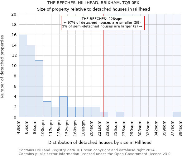 THE BEECHES, HILLHEAD, BRIXHAM, TQ5 0EX: Size of property relative to detached houses in Hillhead