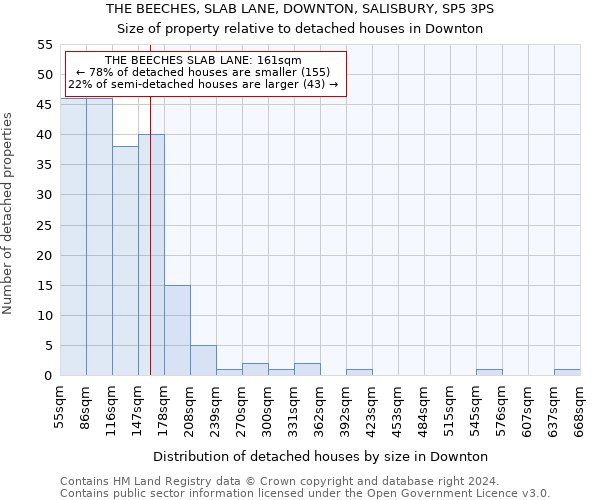 THE BEECHES, SLAB LANE, DOWNTON, SALISBURY, SP5 3PS: Size of property relative to detached houses in Downton