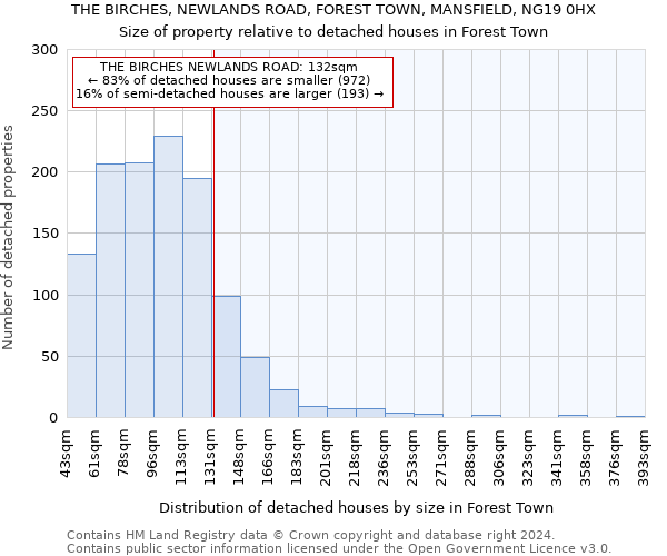THE BIRCHES, NEWLANDS ROAD, FOREST TOWN, MANSFIELD, NG19 0HX: Size of property relative to detached houses in Forest Town