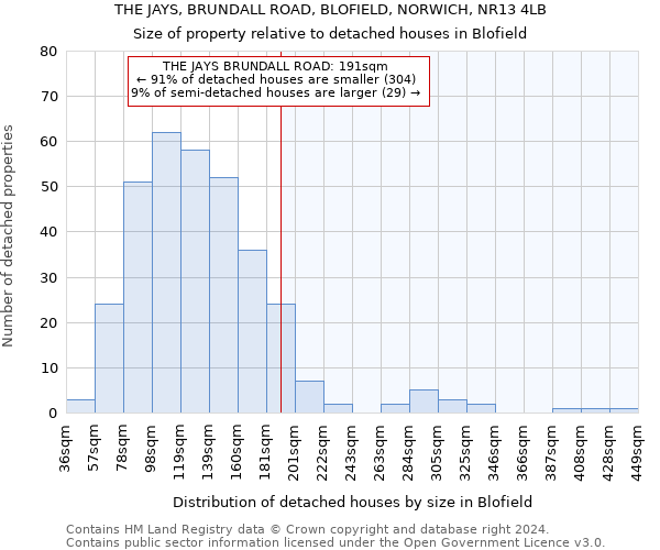 THE JAYS, BRUNDALL ROAD, BLOFIELD, NORWICH, NR13 4LB: Size of property relative to detached houses in Blofield