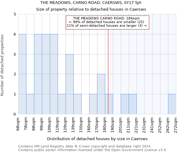 THE MEADOWS, CARNO ROAD, CAERSWS, SY17 5JA: Size of property relative to detached houses in Caersws