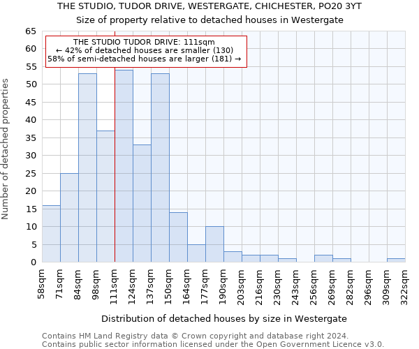 THE STUDIO, TUDOR DRIVE, WESTERGATE, CHICHESTER, PO20 3YT: Size of property relative to detached houses in Westergate