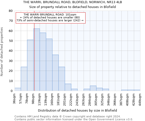 THE WARRI, BRUNDALL ROAD, BLOFIELD, NORWICH, NR13 4LB: Size of property relative to detached houses in Blofield