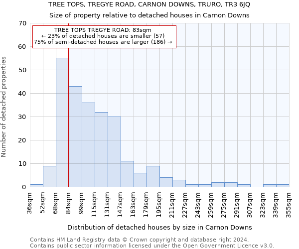 TREE TOPS, TREGYE ROAD, CARNON DOWNS, TRURO, TR3 6JQ: Size of property relative to detached houses in Carnon Downs