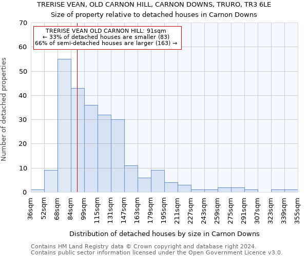 TRERISE VEAN, OLD CARNON HILL, CARNON DOWNS, TRURO, TR3 6LE: Size of property relative to detached houses in Carnon Downs