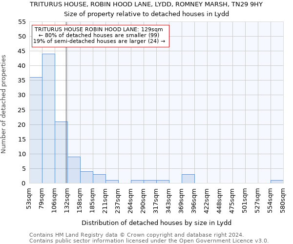 TRITURUS HOUSE, ROBIN HOOD LANE, LYDD, ROMNEY MARSH, TN29 9HY: Size of property relative to detached houses in Lydd