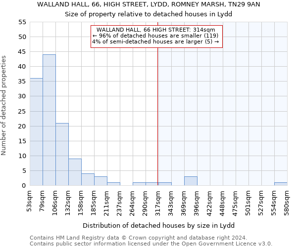 WALLAND HALL, 66, HIGH STREET, LYDD, ROMNEY MARSH, TN29 9AN: Size of property relative to detached houses in Lydd