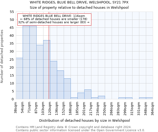 WHITE RIDGES, BLUE BELL DRIVE, WELSHPOOL, SY21 7PX: Size of property relative to detached houses in Welshpool