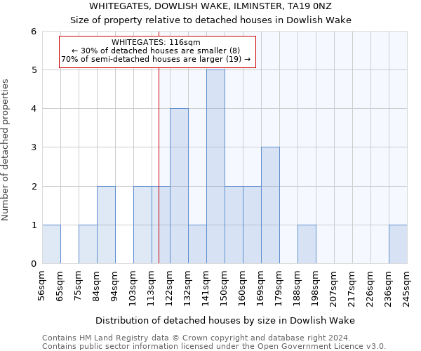 WHITEGATES, DOWLISH WAKE, ILMINSTER, TA19 0NZ: Size of property relative to detached houses in Dowlish Wake