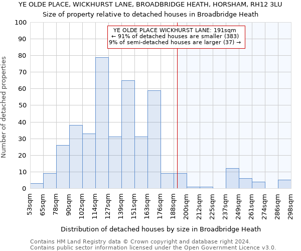 YE OLDE PLACE, WICKHURST LANE, BROADBRIDGE HEATH, HORSHAM, RH12 3LU: Size of property relative to detached houses in Broadbridge Heath