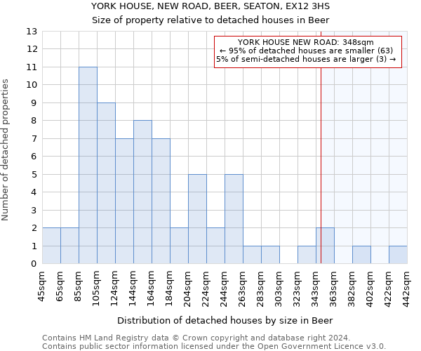 YORK HOUSE, NEW ROAD, BEER, SEATON, EX12 3HS: Size of property relative to detached houses in Beer