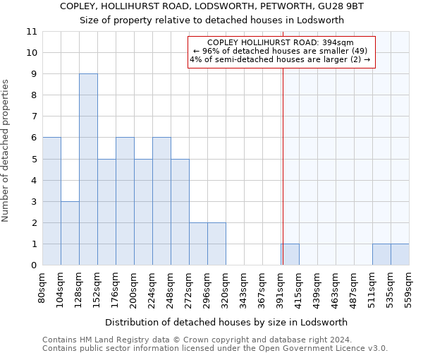 COPLEY, HOLLIHURST ROAD, LODSWORTH, PETWORTH, GU28 9BT: Size of property relative to detached houses in Lodsworth