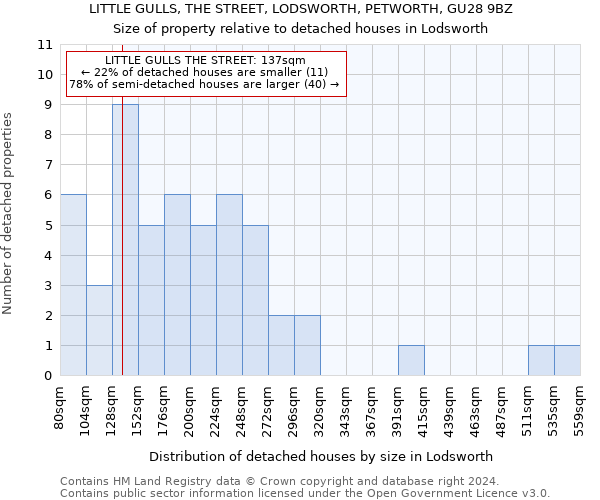 LITTLE GULLS, THE STREET, LODSWORTH, PETWORTH, GU28 9BZ: Size of property relative to detached houses in Lodsworth
