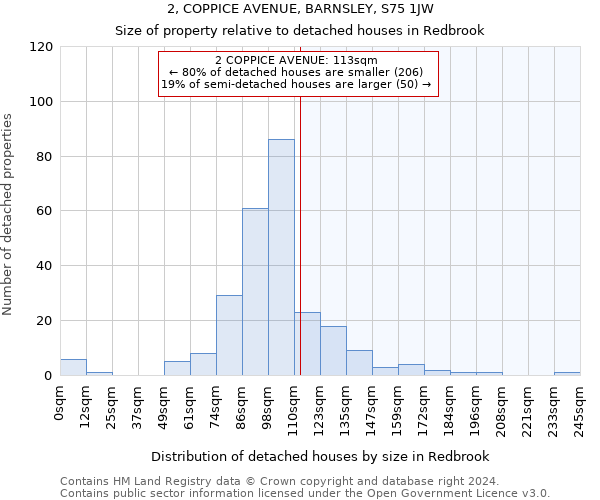 2, COPPICE AVENUE, BARNSLEY, S75 1JW: Size of property relative to detached houses in Redbrook