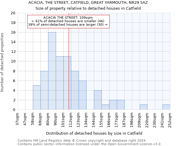 ACACIA, THE STREET, CATFIELD, GREAT YARMOUTH, NR29 5AZ: Size of property relative to detached houses in Catfield