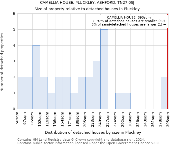 CAMELLIA HOUSE, PLUCKLEY, ASHFORD, TN27 0SJ: Size of property relative to detached houses in Pluckley