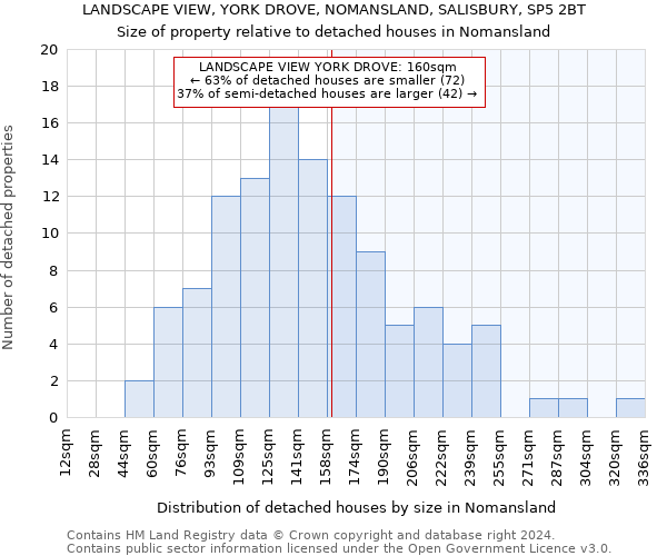 LANDSCAPE VIEW, YORK DROVE, NOMANSLAND, SALISBURY, SP5 2BT: Size of property relative to detached houses in Nomansland