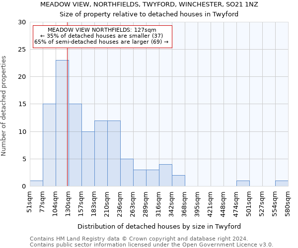 MEADOW VIEW, NORTHFIELDS, TWYFORD, WINCHESTER, SO21 1NZ: Size of property relative to detached houses in Twyford