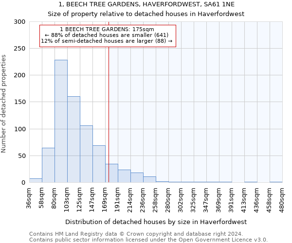 1, BEECH TREE GARDENS, HAVERFORDWEST, SA61 1NE: Size of property relative to detached houses in Haverfordwest