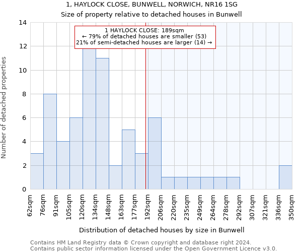 1, HAYLOCK CLOSE, BUNWELL, NORWICH, NR16 1SG: Size of property relative to detached houses in Bunwell