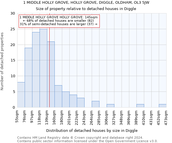 1 MIDDLE HOLLY GROVE, HOLLY GROVE, DIGGLE, OLDHAM, OL3 5JW: Size of property relative to detached houses in Diggle