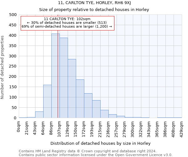 11, CARLTON TYE, HORLEY, RH6 9XJ: Size of property relative to detached houses in Horley