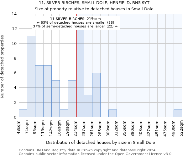 11, SILVER BIRCHES, SMALL DOLE, HENFIELD, BN5 9YT: Size of property relative to detached houses in Small Dole