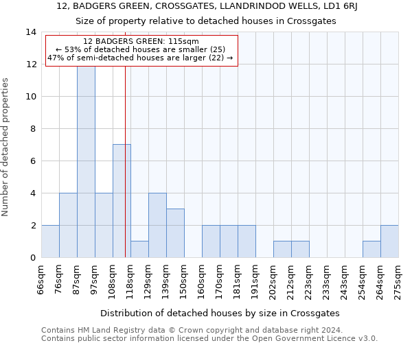 12, BADGERS GREEN, CROSSGATES, LLANDRINDOD WELLS, LD1 6RJ: Size of property relative to detached houses in Crossgates