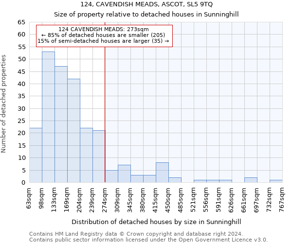 124, CAVENDISH MEADS, ASCOT, SL5 9TQ: Size of property relative to detached houses in Sunninghill