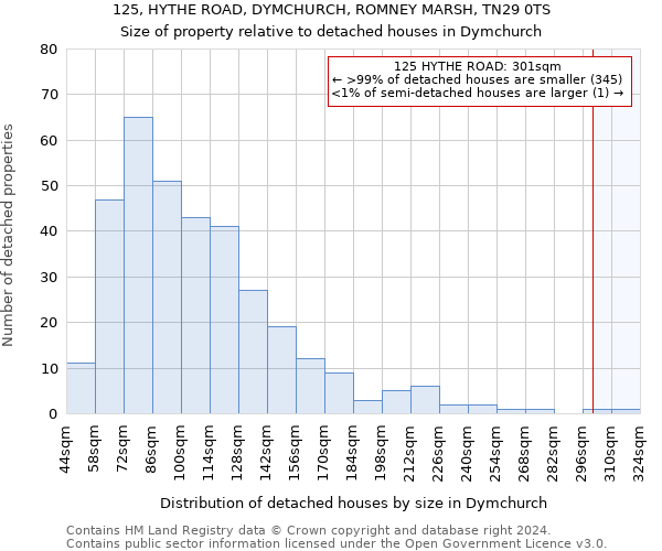 125, HYTHE ROAD, DYMCHURCH, ROMNEY MARSH, TN29 0TS: Size of property relative to detached houses in Dymchurch