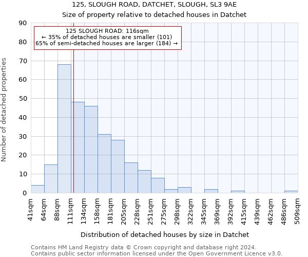 125, SLOUGH ROAD, DATCHET, SLOUGH, SL3 9AE: Size of property relative to detached houses in Datchet