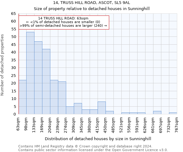 14, TRUSS HILL ROAD, ASCOT, SL5 9AL: Size of property relative to detached houses in Sunninghill