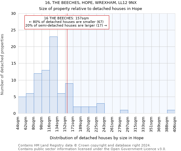 16, THE BEECHES, HOPE, WREXHAM, LL12 9NX: Size of property relative to detached houses in Hope