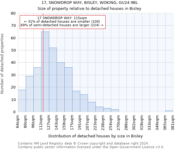 17, SNOWDROP WAY, BISLEY, WOKING, GU24 9BL: Size of property relative to detached houses in Bisley