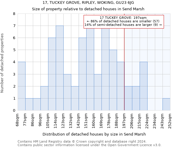 17, TUCKEY GROVE, RIPLEY, WOKING, GU23 6JG: Size of property relative to detached houses in Send Marsh