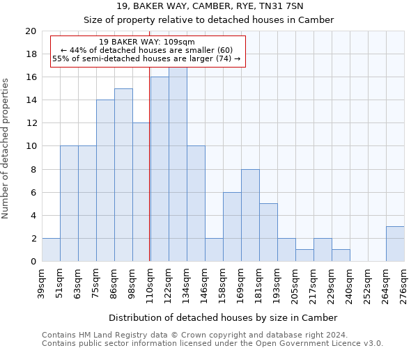 19, BAKER WAY, CAMBER, RYE, TN31 7SN: Size of property relative to detached houses in Camber