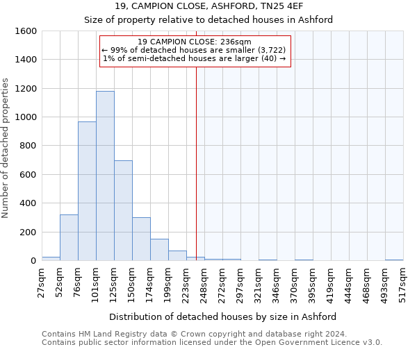 19, CAMPION CLOSE, ASHFORD, TN25 4EF: Size of property relative to detached houses in Ashford