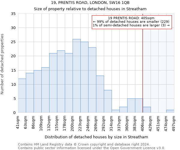 19, PRENTIS ROAD, LONDON, SW16 1QB: Size of property relative to detached houses in Streatham