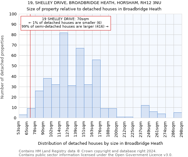 19, SHELLEY DRIVE, BROADBRIDGE HEATH, HORSHAM, RH12 3NU: Size of property relative to detached houses in Broadbridge Heath