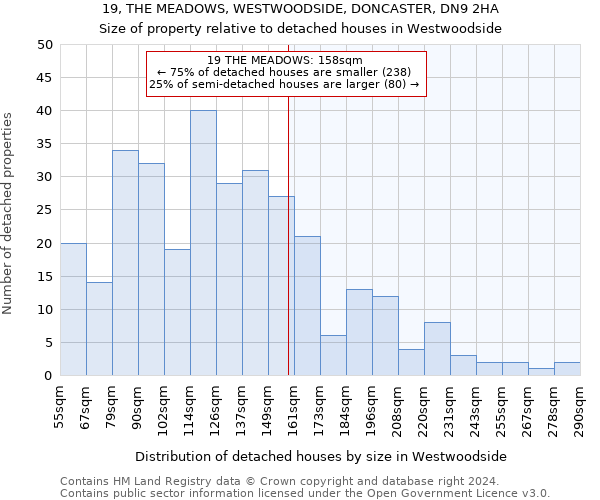 19, THE MEADOWS, WESTWOODSIDE, DONCASTER, DN9 2HA: Size of property relative to detached houses in Westwoodside