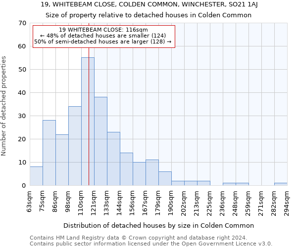 19, WHITEBEAM CLOSE, COLDEN COMMON, WINCHESTER, SO21 1AJ: Size of property relative to detached houses in Colden Common