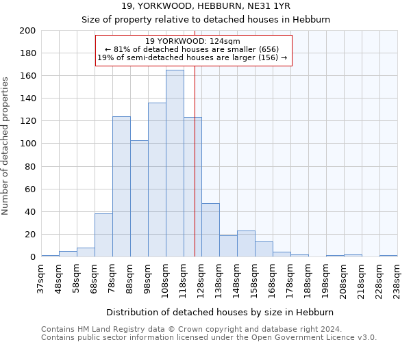 19, YORKWOOD, HEBBURN, NE31 1YR: Size of property relative to detached houses in Hebburn