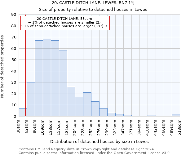 20, CASTLE DITCH LANE, LEWES, BN7 1YJ: Size of property relative to detached houses in Lewes