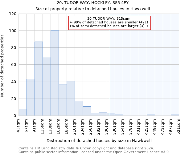 20, TUDOR WAY, HOCKLEY, SS5 4EY: Size of property relative to detached houses in Hawkwell