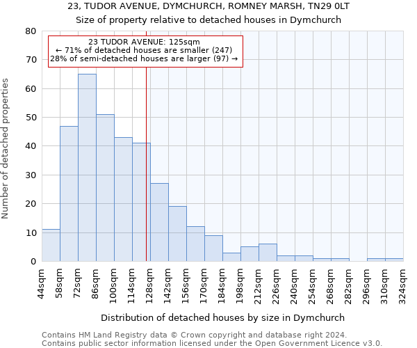 23, TUDOR AVENUE, DYMCHURCH, ROMNEY MARSH, TN29 0LT: Size of property relative to detached houses in Dymchurch