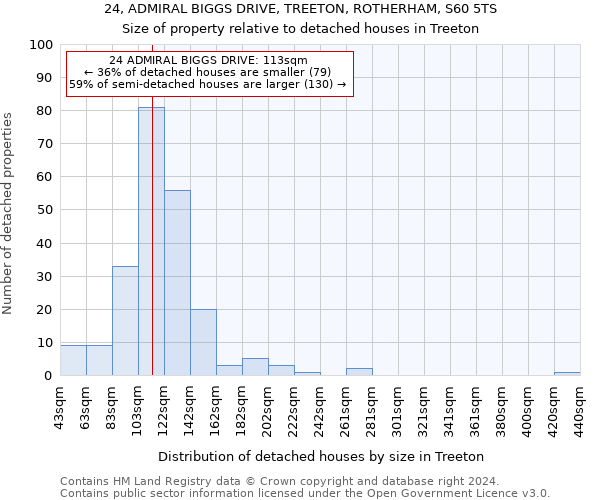 24, ADMIRAL BIGGS DRIVE, TREETON, ROTHERHAM, S60 5TS: Size of property relative to detached houses in Treeton