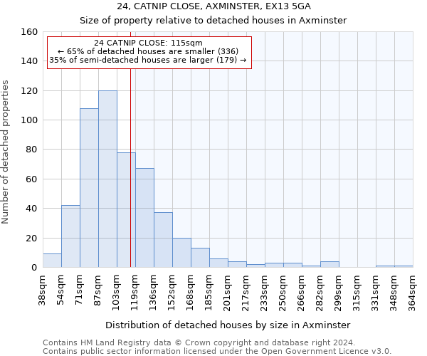 24, CATNIP CLOSE, AXMINSTER, EX13 5GA: Size of property relative to detached houses in Axminster