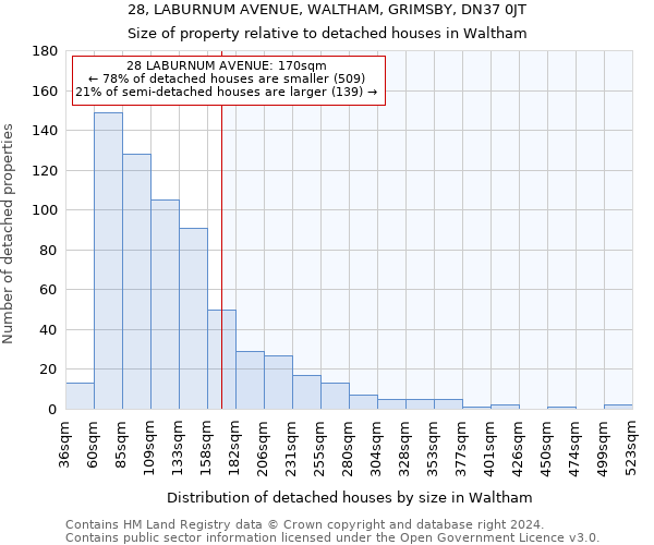 28, LABURNUM AVENUE, WALTHAM, GRIMSBY, DN37 0JT: Size of property relative to detached houses in Waltham