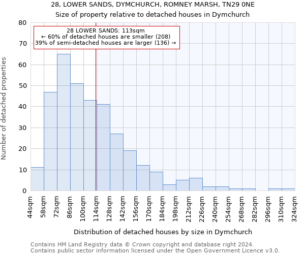 28, LOWER SANDS, DYMCHURCH, ROMNEY MARSH, TN29 0NE: Size of property relative to detached houses in Dymchurch